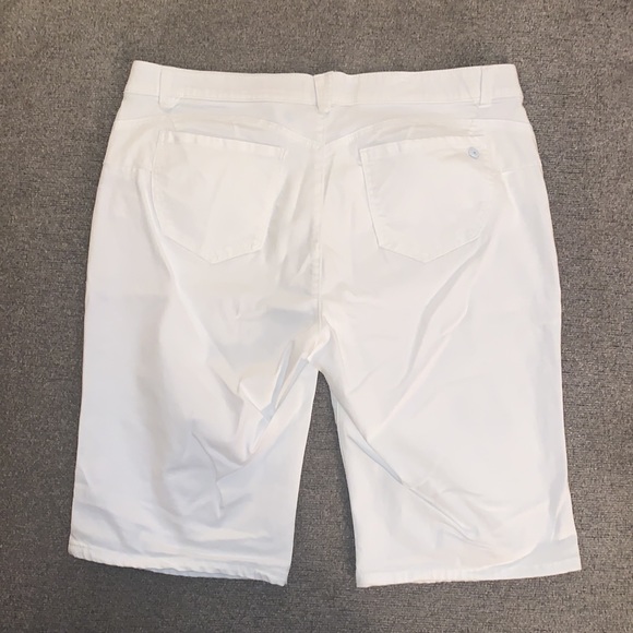 Democracy Shorts - Picture 2 of 9